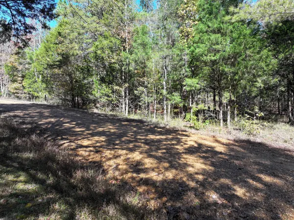 a view of outdoor space with trees