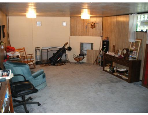 51 Fulton Road Canonsburg, PA 15317 - Photo 14 of 18 Other. Game room on lower level