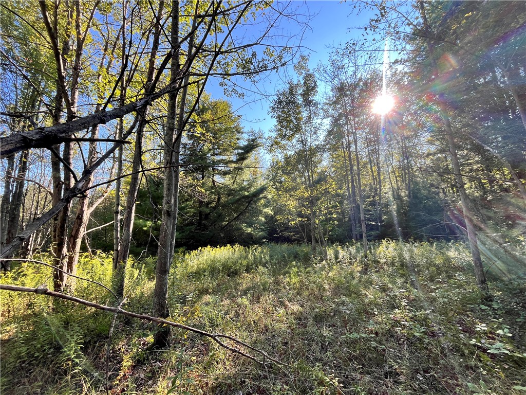 Lot 5 Porter Hill Road East Lockwood, NY 14859 - Photo 1 of 1