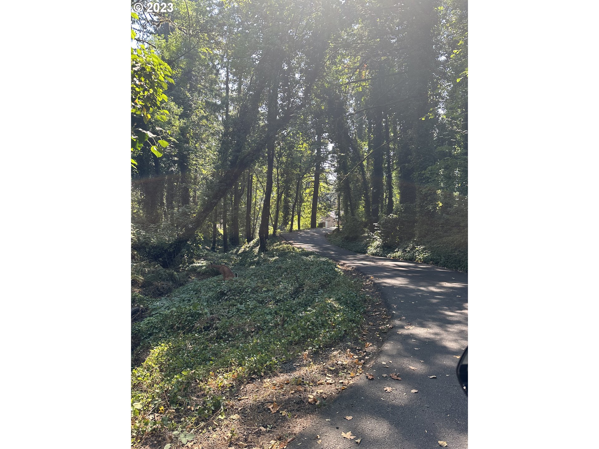 18815 Hilltop Road Lake Oswego, OR 97034 - Photo 26 of 26