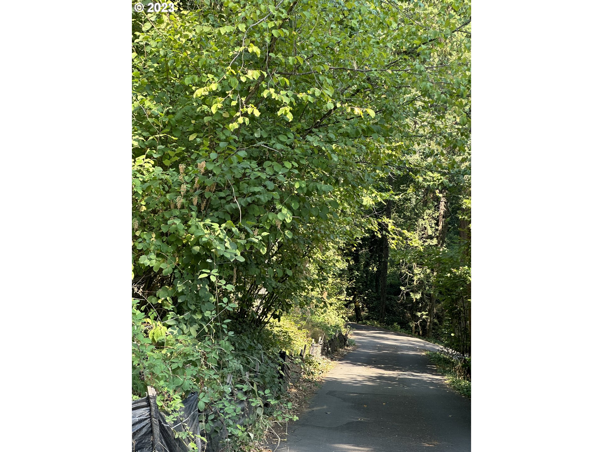 18815 Hilltop Road Lake Oswego, OR 97034 - Photo 3 of 26