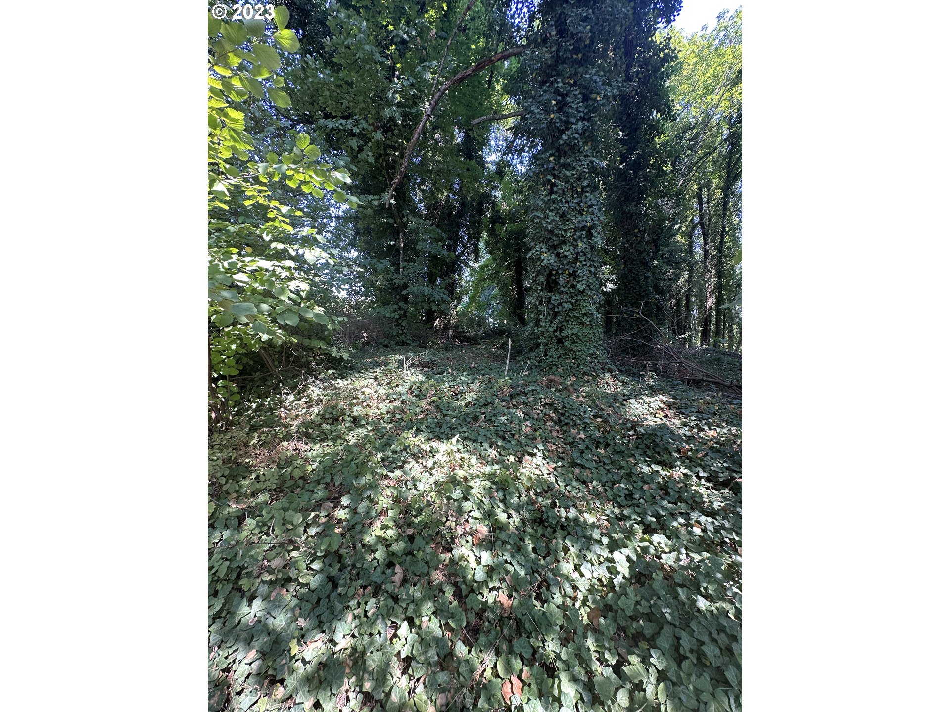 18815 Hilltop Road Lake Oswego, OR 97034 - Photo 8 of 26 Home Site