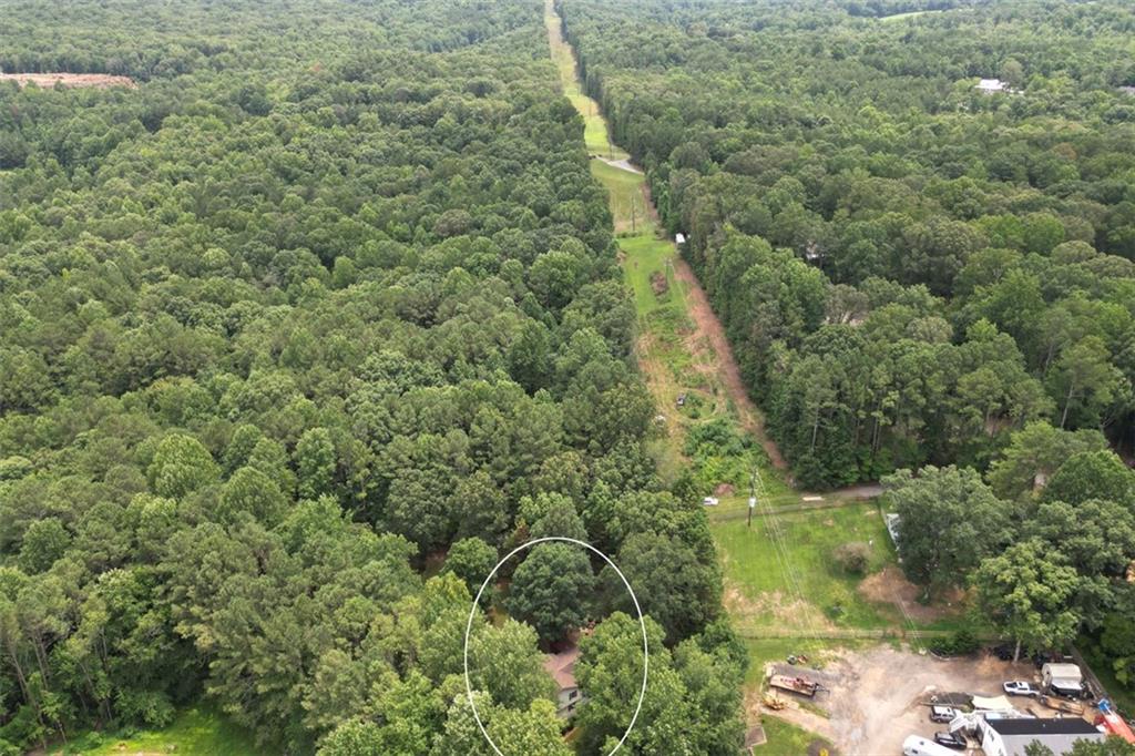 41 Clark Station Road Jasper, GA 30143 - Photo 60 of 69 a view of a forest with a street