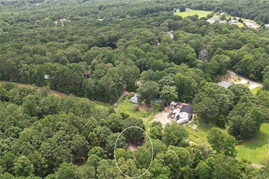 41 Clark Station Road Jasper, GA 30143 - Photo 65 of 69 a view of a forest with a houses