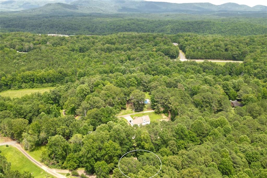 41 Clark Station Road Jasper, GA 30143 - Photo 69 of 69 a view of a big yard with lots of green space