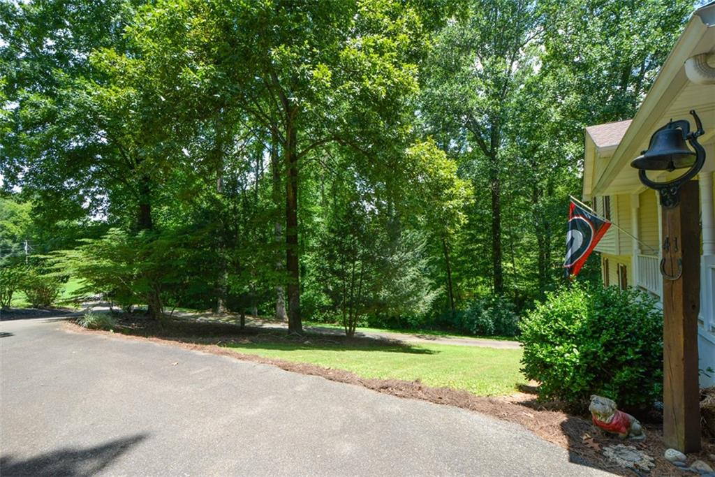 41 Clark Station Road Jasper, GA 30143 - Photo 10 of 69 a view of a yard with plants and large trees