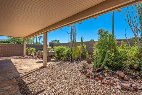 a view of a backyard with plants