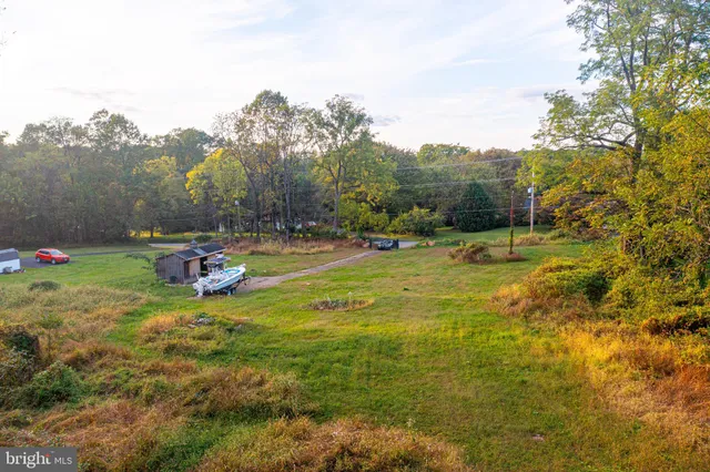 a view of a park with large trees