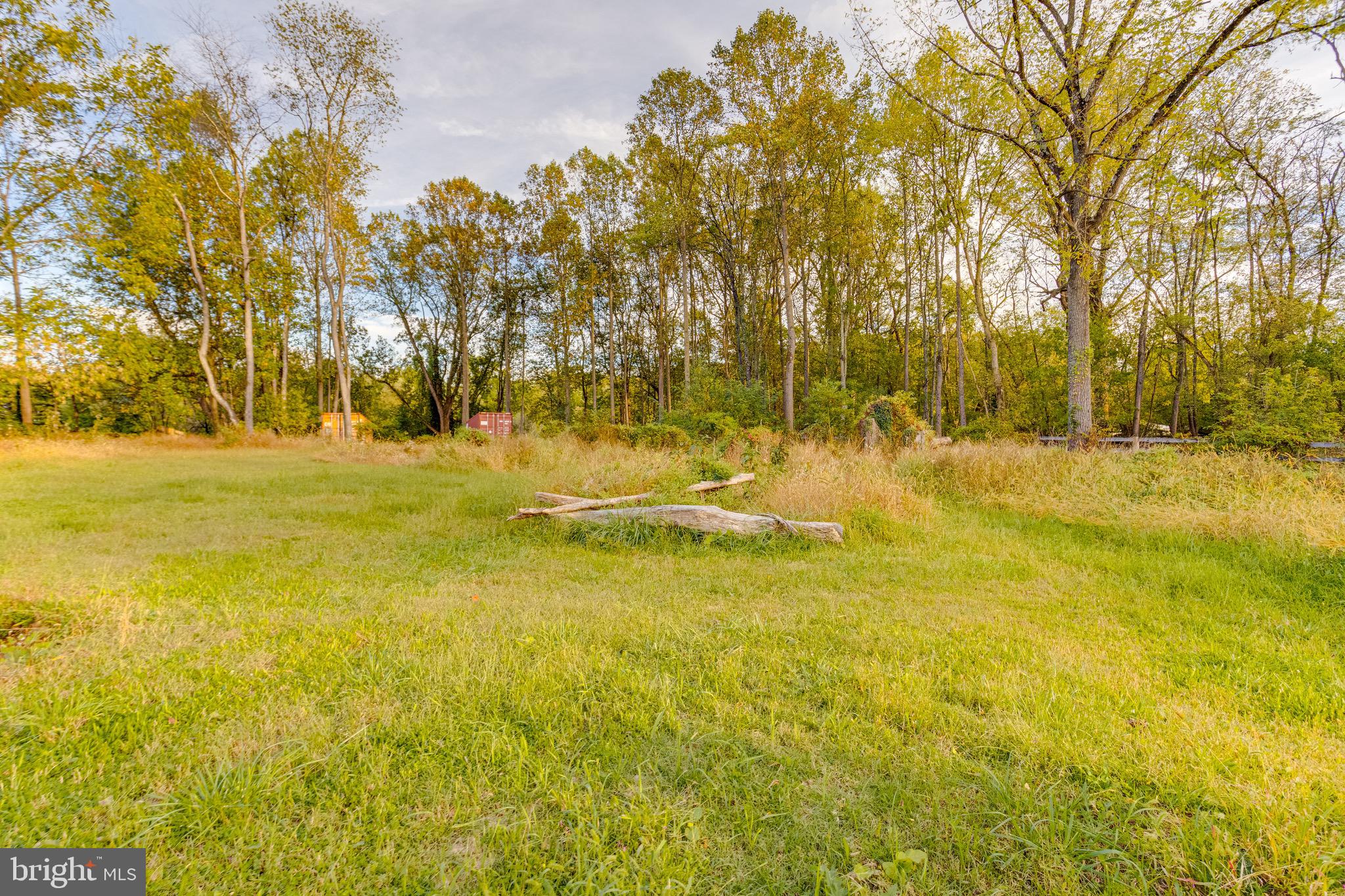 3243 Dublin Road Street, MD 21154 - Photo 19 of 21 a view of yard with swimming pool and trees