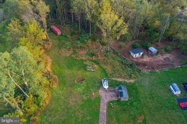 a view of a park with large trees
