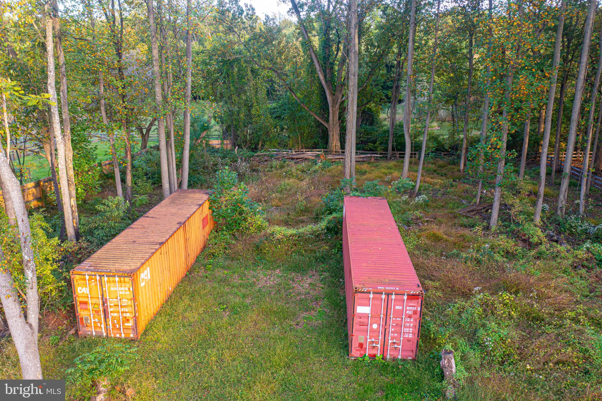 3243 Dublin Road Street, MD 21154 - Photo 7 of 21 a view of a park with large trees