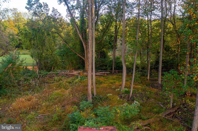 a view of a backyard with trees