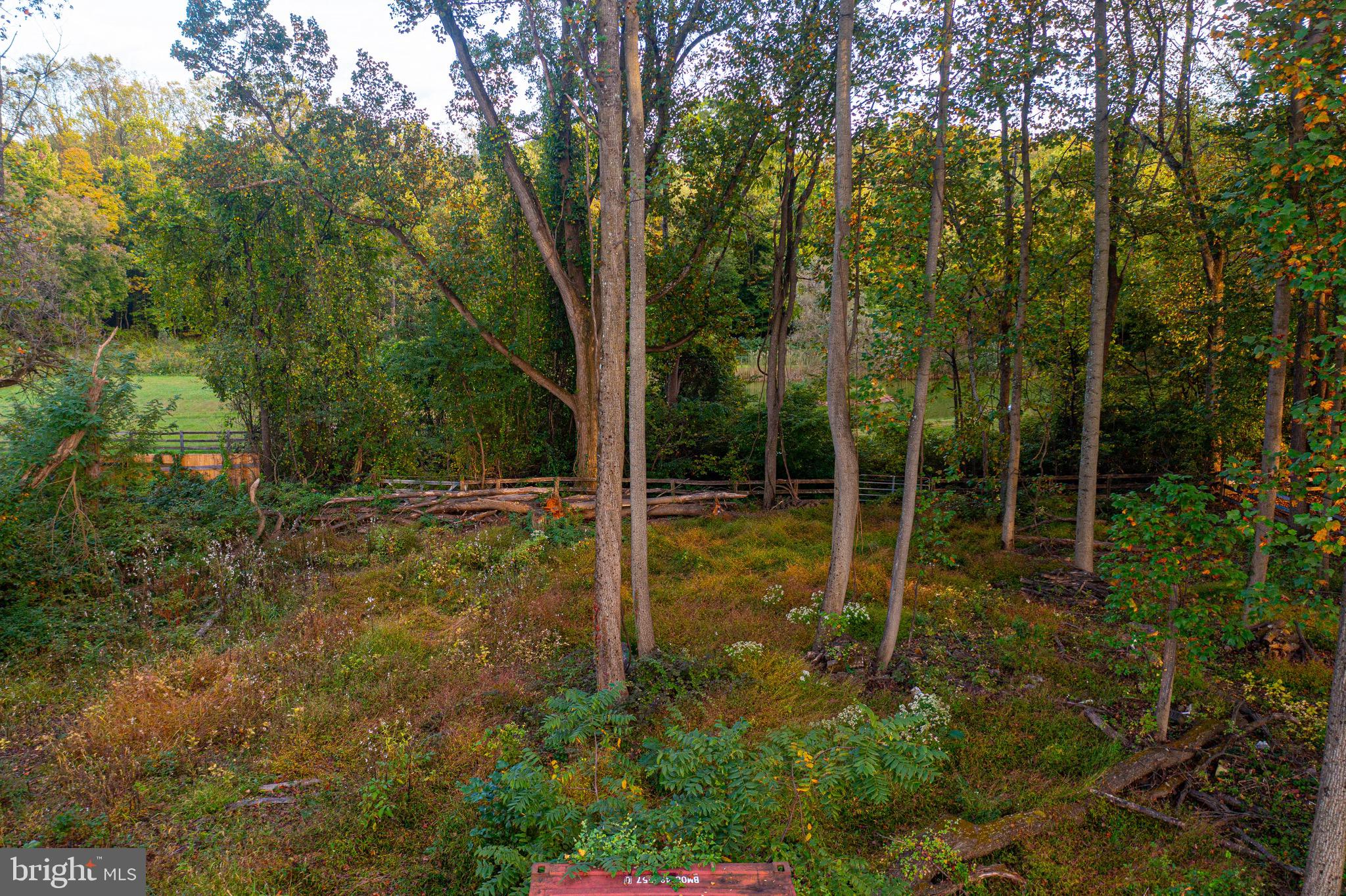 3243 Dublin Road Street, MD 21154 - Photo 8 of 21 a view of backyard with green space