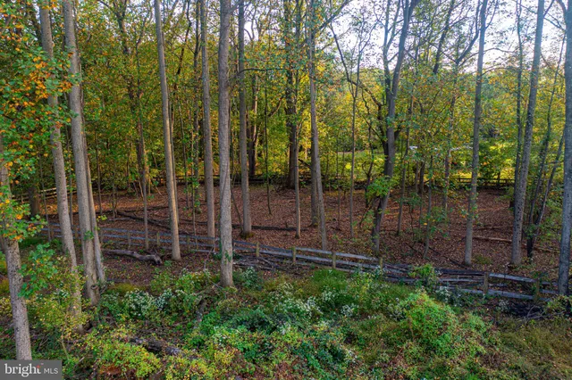 a view of a field with of trees