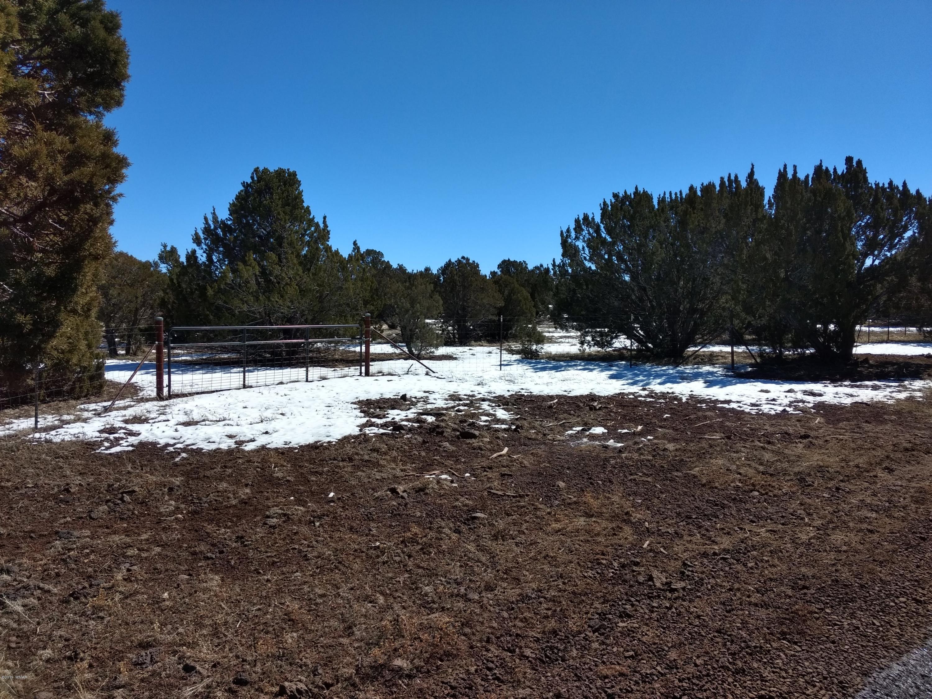 3082 Vernon Az 85940 Show Low, AZ 85901 - Photo 1 of 6