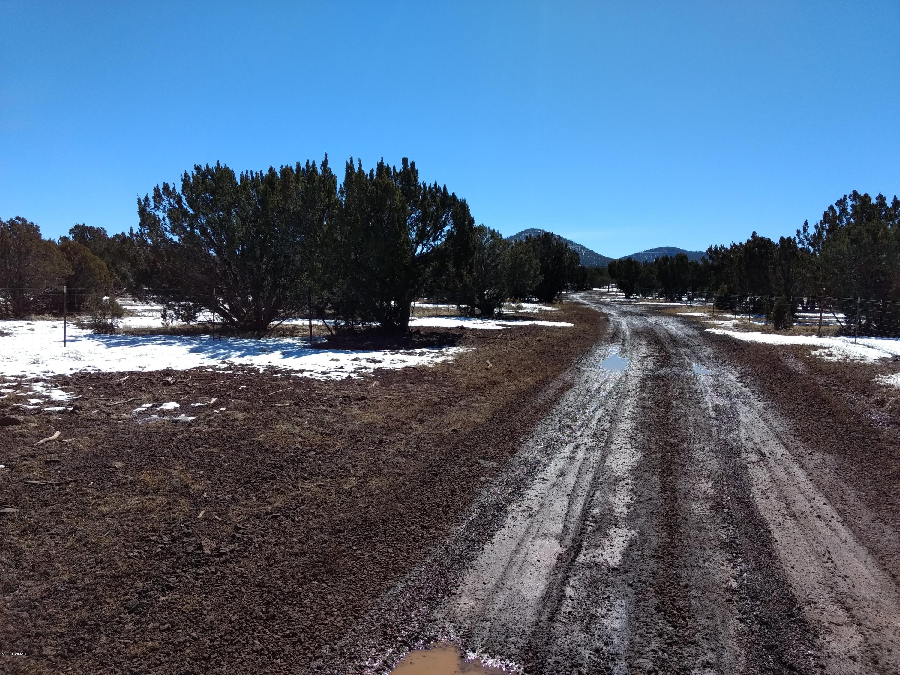 3082 Vernon Az 85940 Show Low, AZ 85901 - Photo 4 of 6