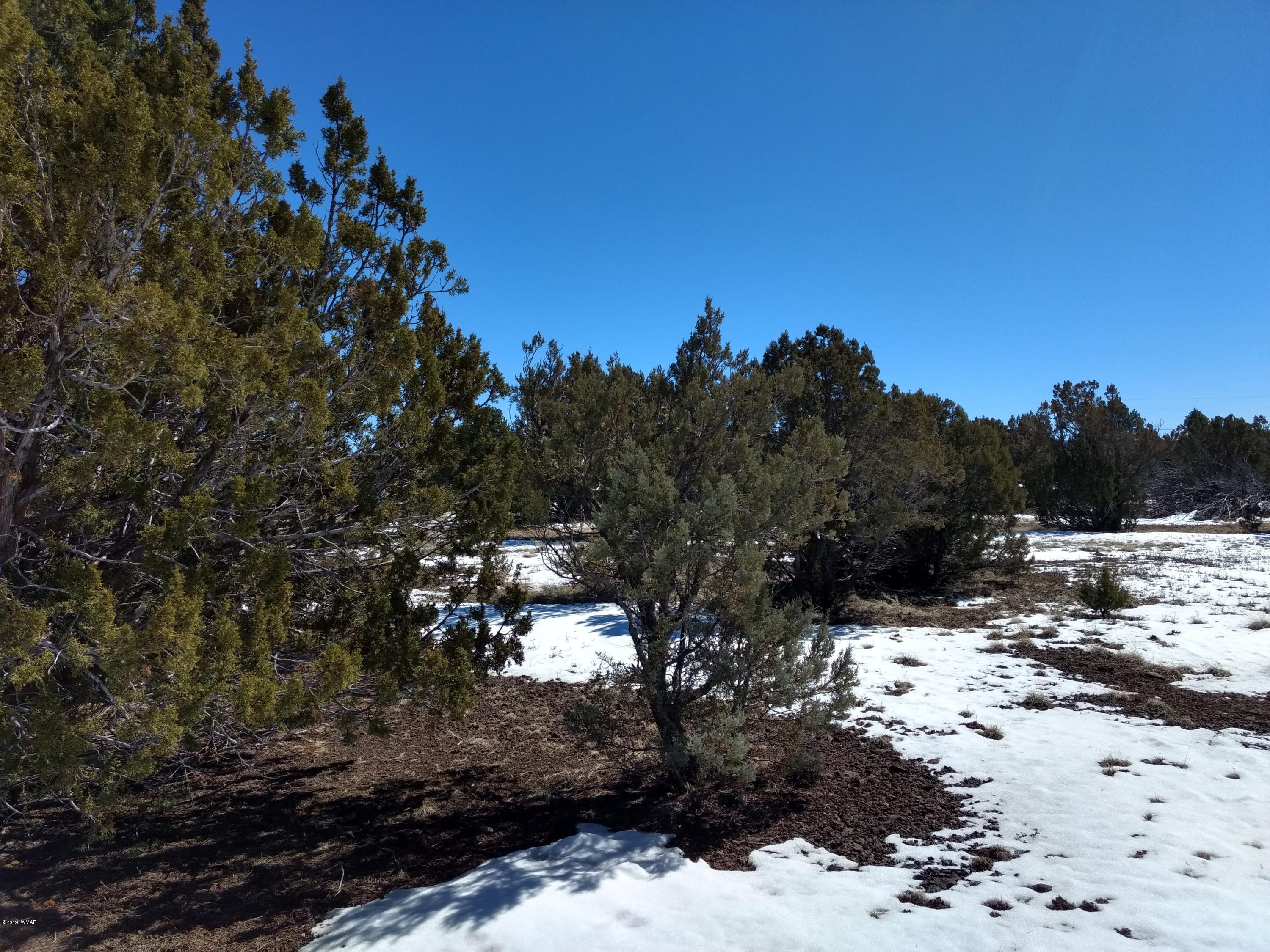 3082 Vernon Az 85940 Show Low, AZ 85901 - Photo 5 of 6