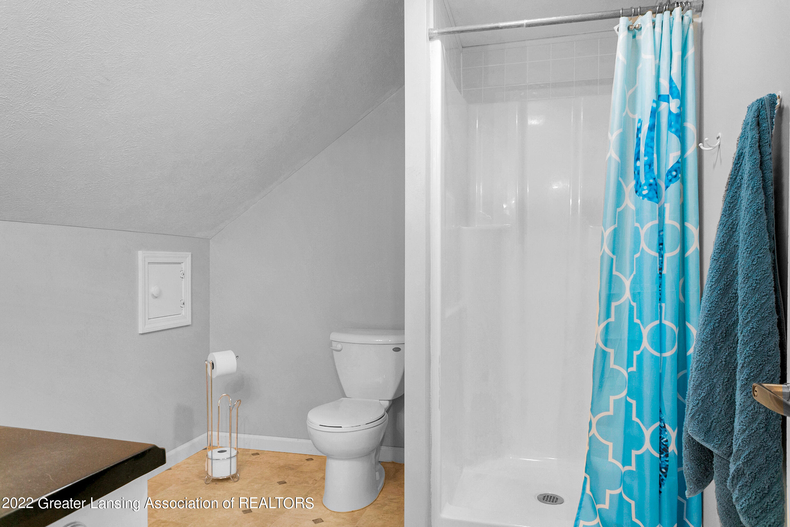 10882 Mt Hope Road Carson City, MI 48811 - Photo 59 of 72 10882 S Mt Hope Rd Carson City MI-173
