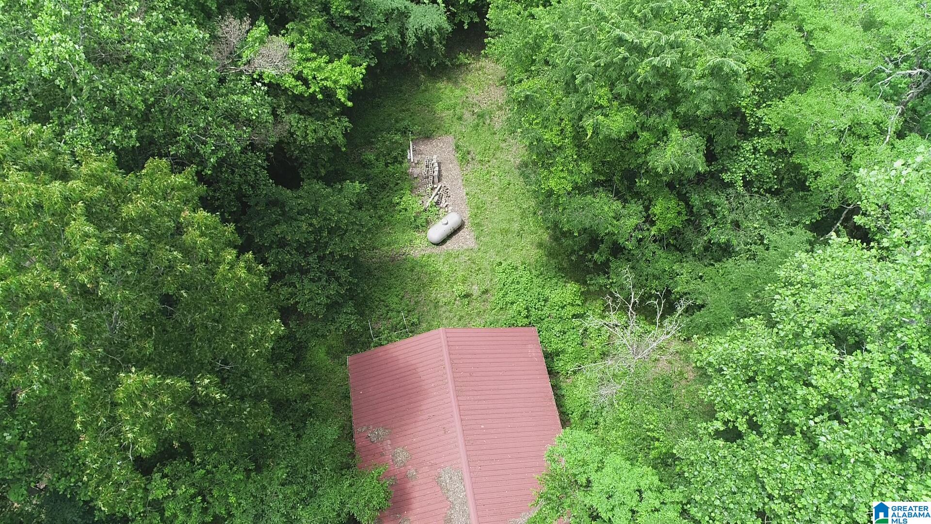 1955 Beaver Mountain Road, Unit TRACT 1 W/STUDIO HOME Ashville, AL 35953 - Photo 6 of 14