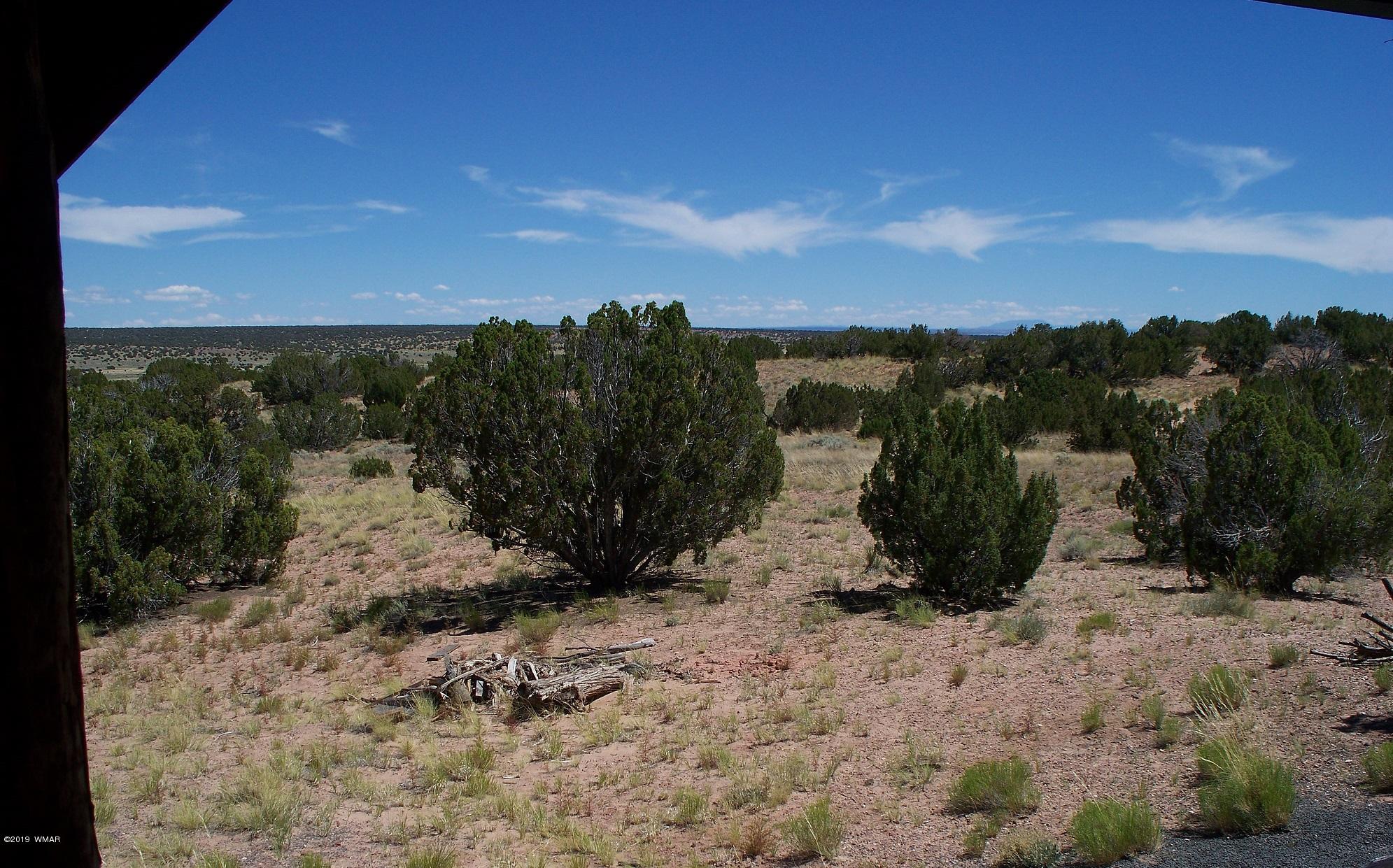 Lot 238 Red Sky Ranch St. Johns, AZ 85936 - Photo 12 of 29
