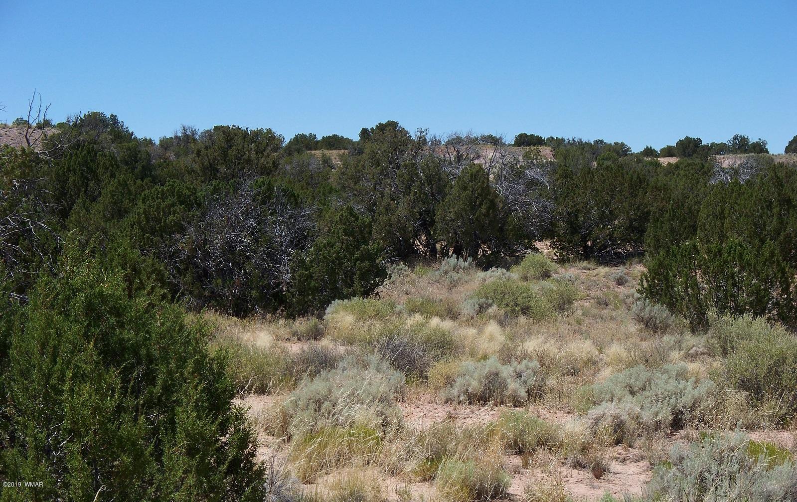 Lot 238 Red Sky Ranch St. Johns, AZ 85936 - Photo 20 of 29