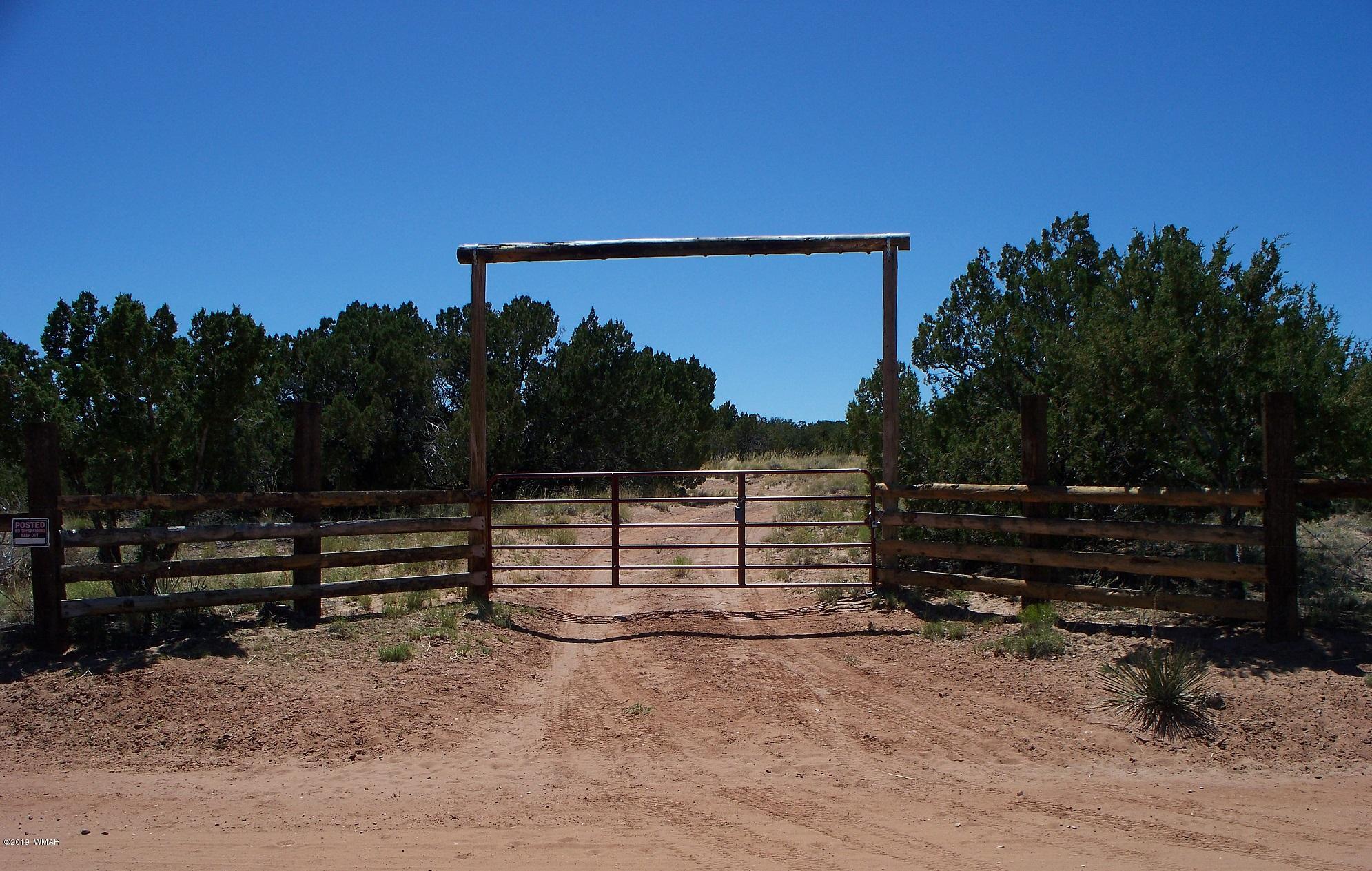 Lot 238 Red Sky Ranch St. Johns, AZ 85936 - Photo 2 of 29