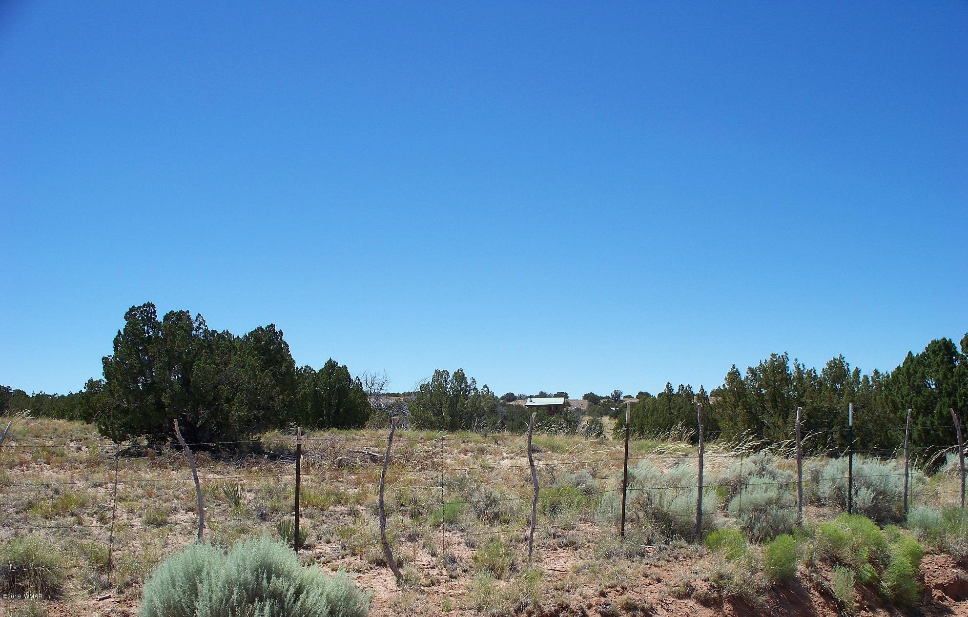 Lot 238 Red Sky Ranch St. Johns, AZ 85936 - Photo 21 of 29