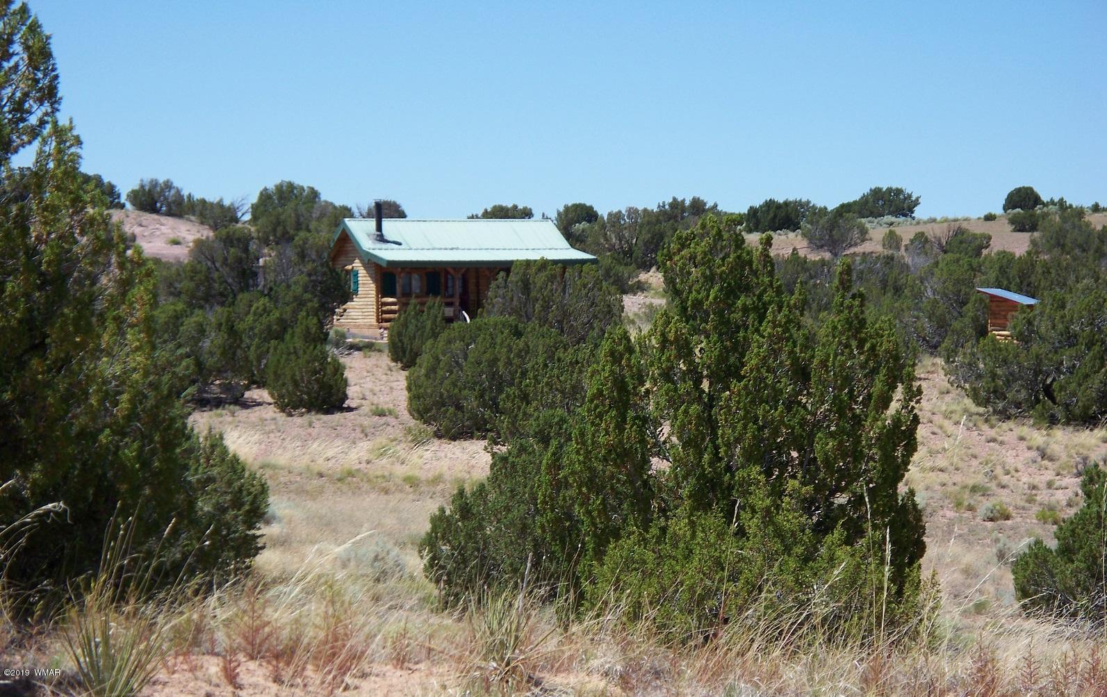 Lot 238 Red Sky Ranch St. Johns, AZ 85936 - Photo 24 of 29