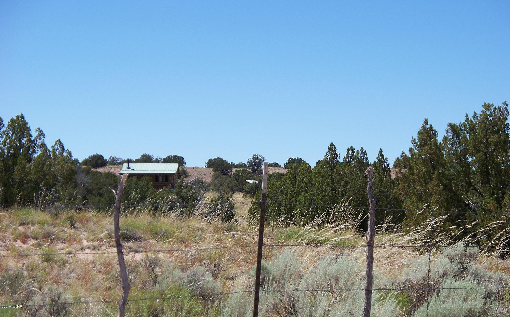 Lot 238 Red Sky Ranch St. Johns, AZ 85936 - Photo 25 of 29
