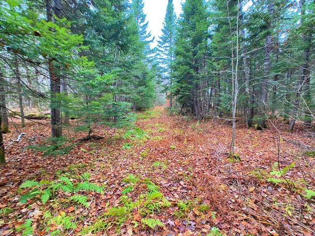 $74,900 | 7 Garfield Road, Ashland, ME 04732