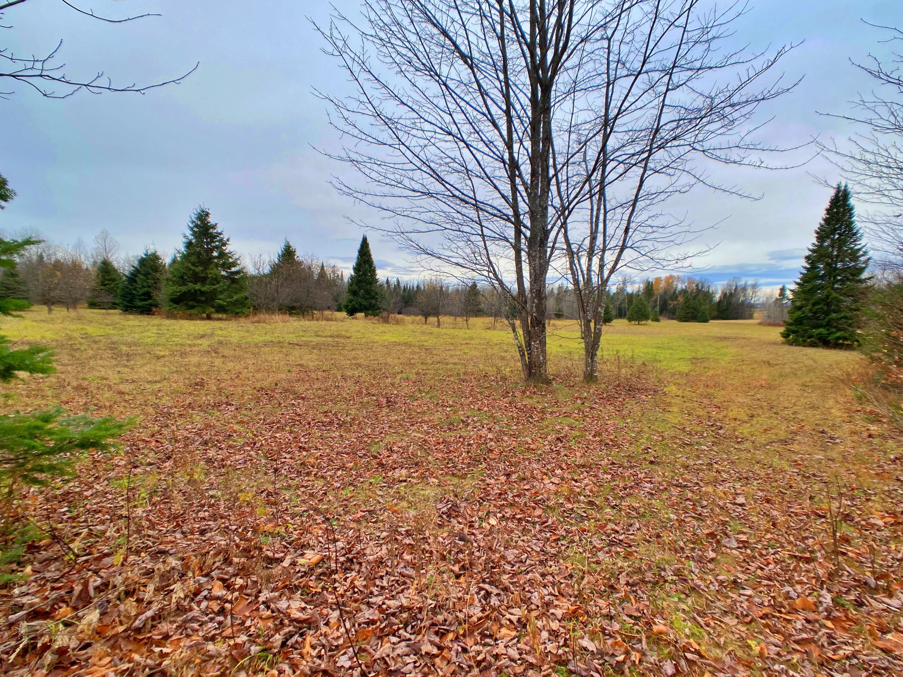 7 Garfield Road Ashland, ME 04732 - Photo 4 of 9 StolzeIMG_9095