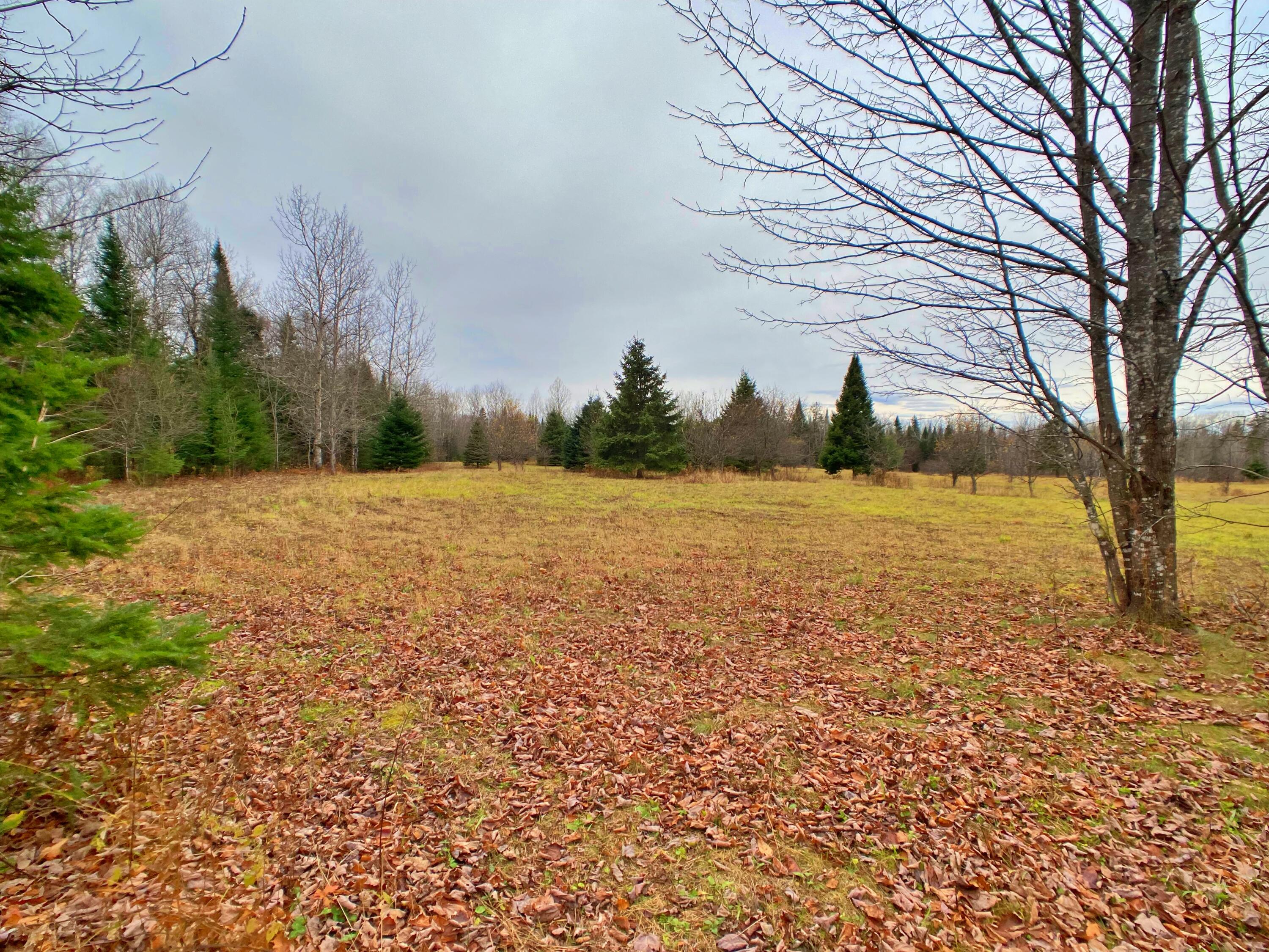 7 Garfield Road Ashland, ME 04732 - Photo 5 of 9 StolzeIMG_9096