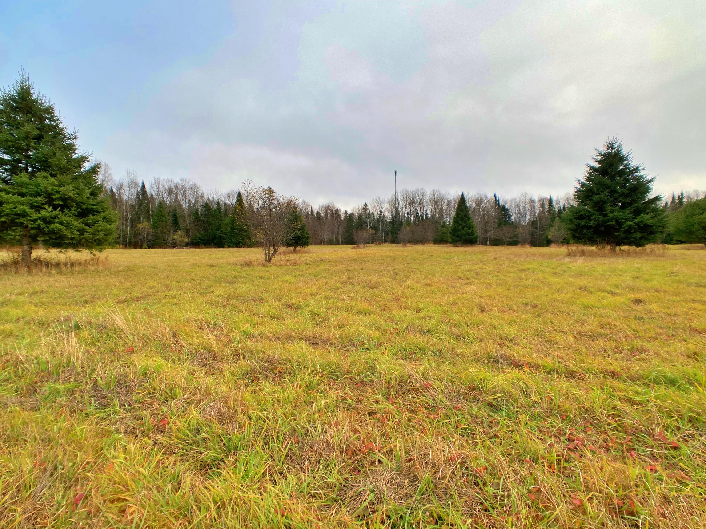 7 Garfield Road Ashland, ME 04732 - Photo 6 of 9 StolzeIMG_9099