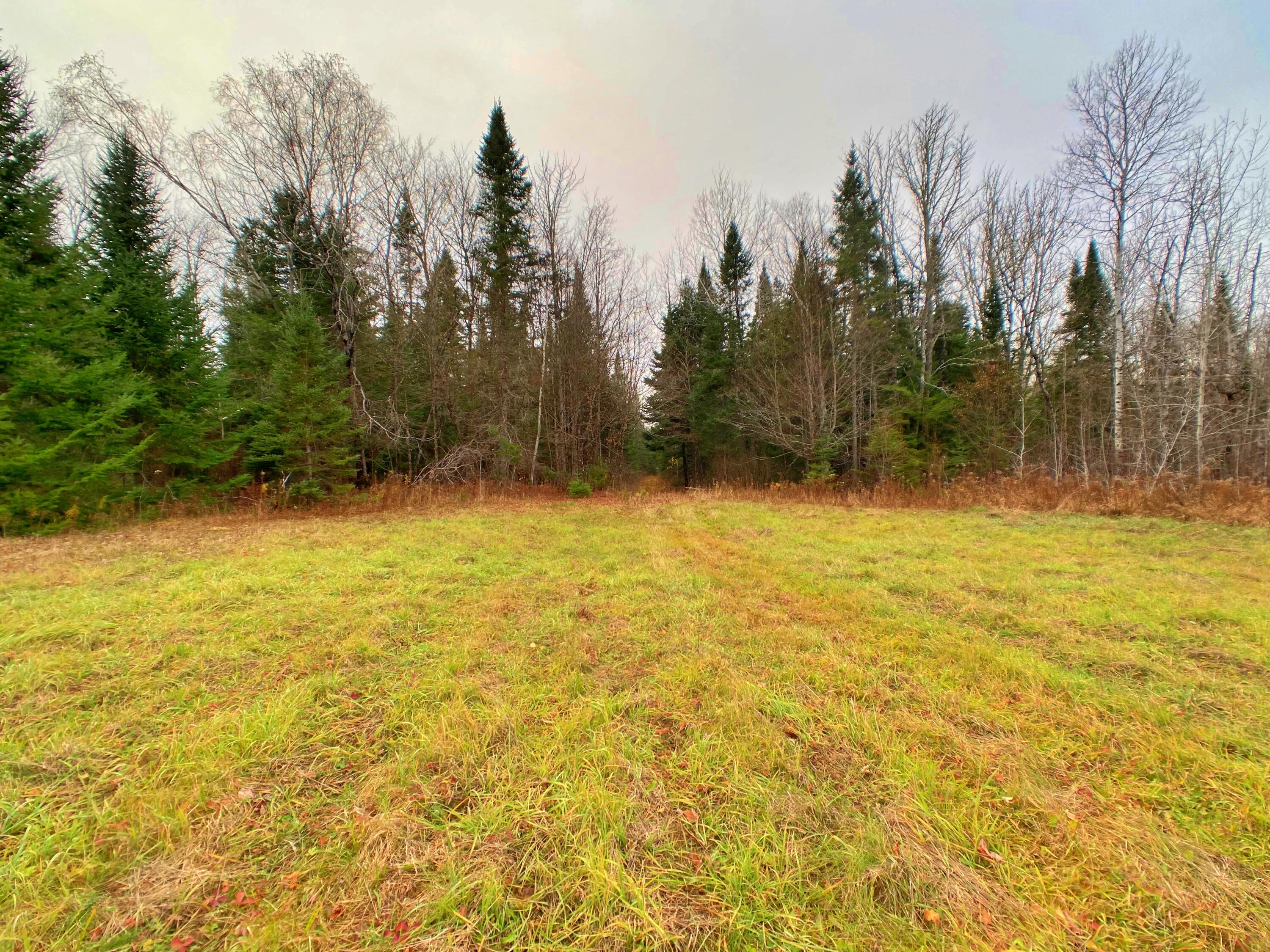 7 Garfield Road Ashland, ME 04732 - Photo 8 of 9 StolzeIMG_9101