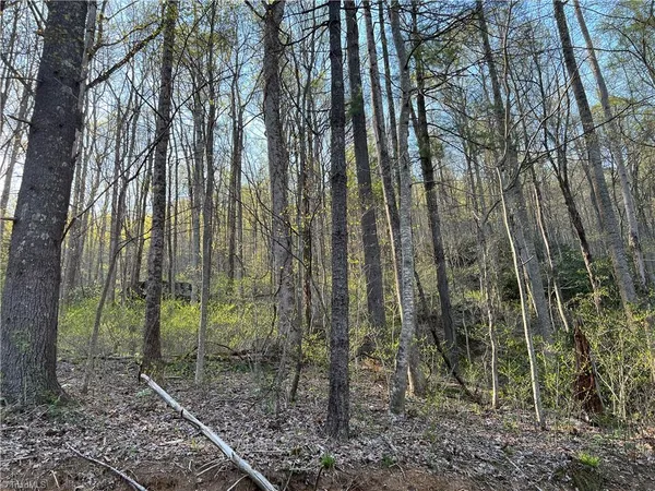 $4,500 | Tbd Briar Rock Trail, Fancy Gap, VA 24328