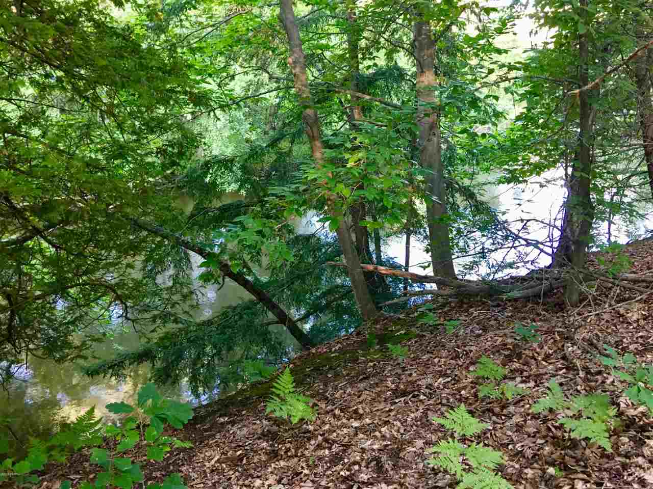 20 East Conrad Road Scottville, MI 49454 - Photo 6 of 18