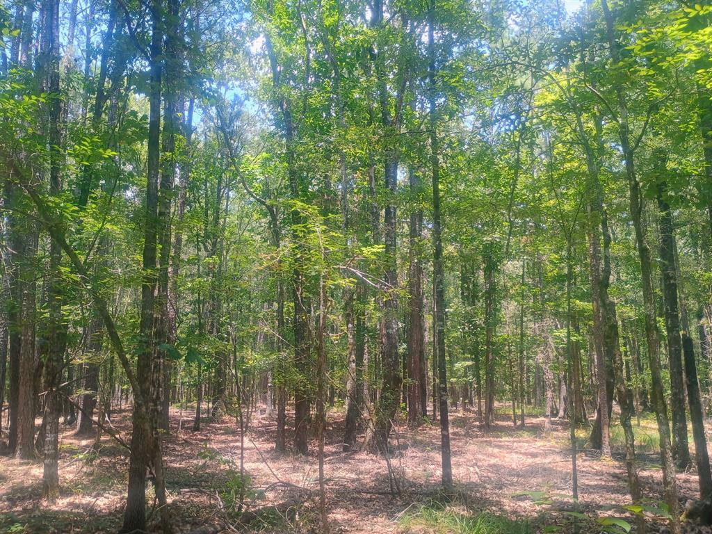0 Tbd Benton, LA 71006 - Photo 2 of 9