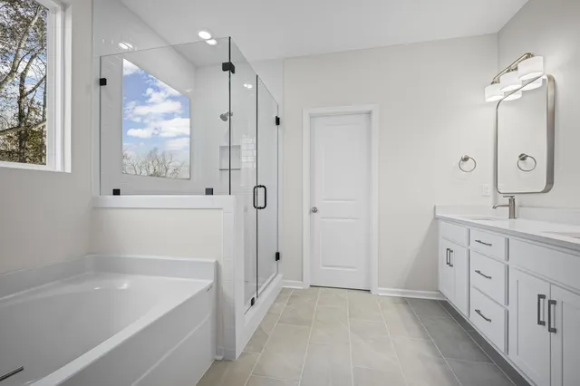 a bathroom with a tub a sink shower and mirror
