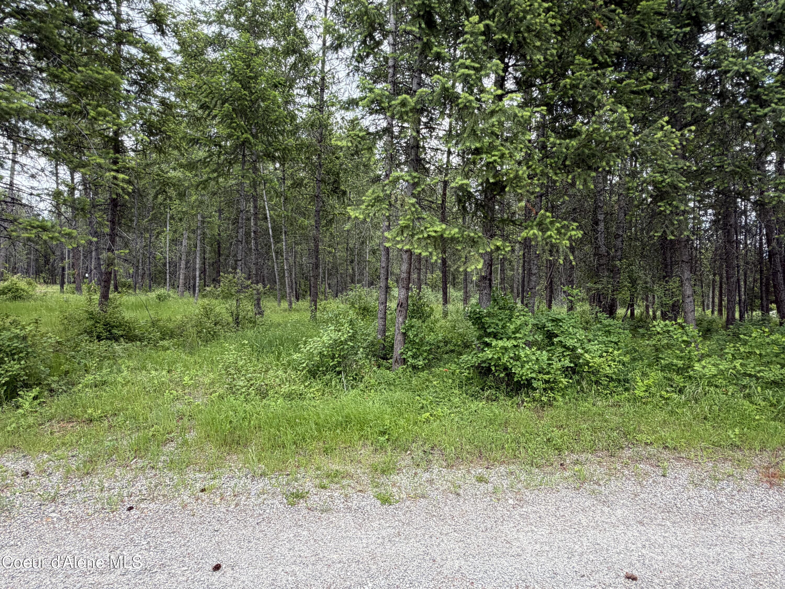 12572 East Parks Road Athol, ID 83801 - Photo 52 of 62 IMG_2512