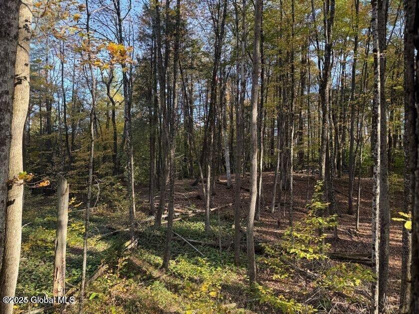 215 Ridge Road Minerva, NY 12851 - Photo 12 of 19 20241010232314605371000000-o