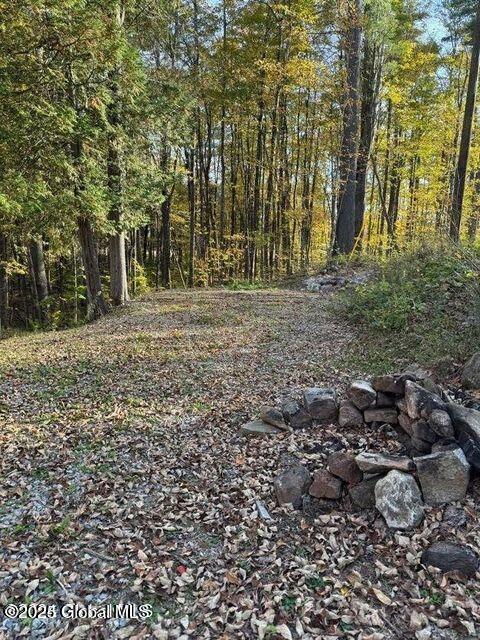 215 Ridge Road Minerva, NY 12851 - Photo 16 of 19 20241010232332576824000000-o
