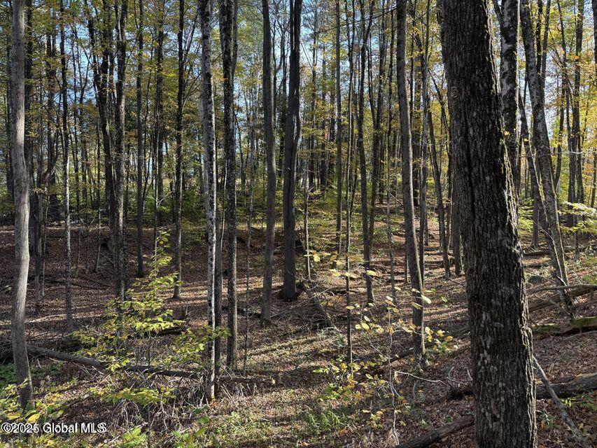 215 Ridge Road Minerva, NY 12851 - Photo 10 of 19 20241010232302834207000000-o