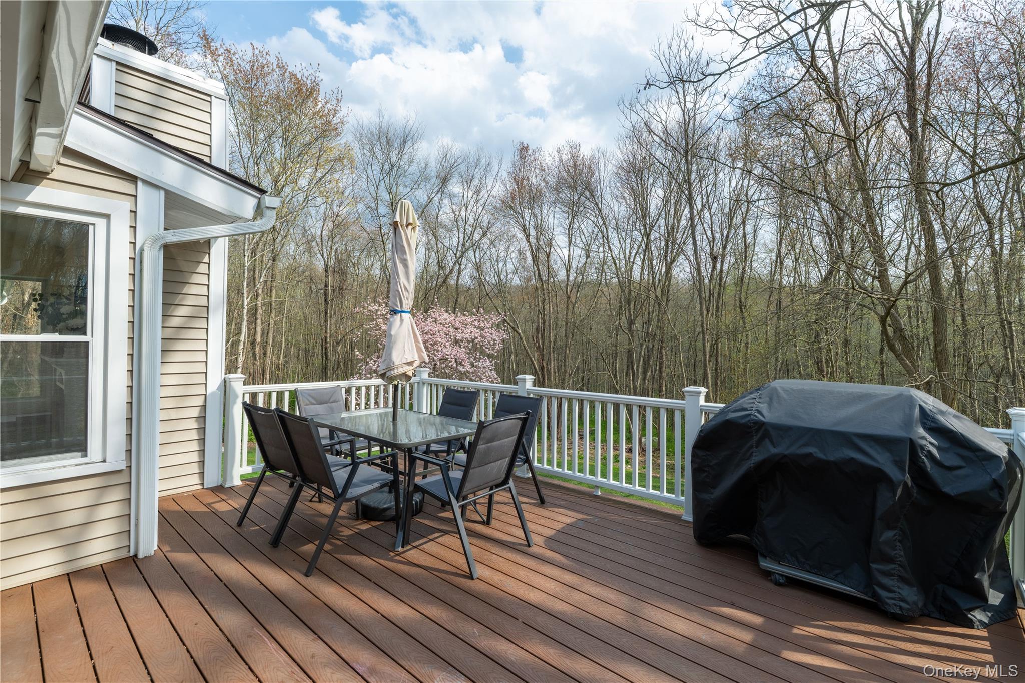 259 Crane Road Carmel, NY 10512 - Photo 21 of 30