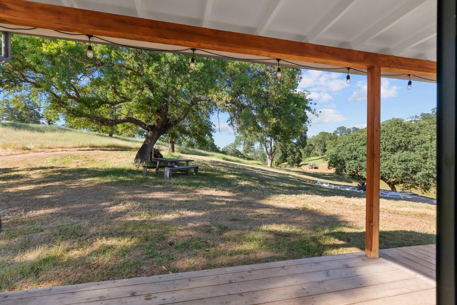 14883 Vaira Ranch Road Drytown, CA 95699 - Photo 42 of 60 a view of a backyard of a house