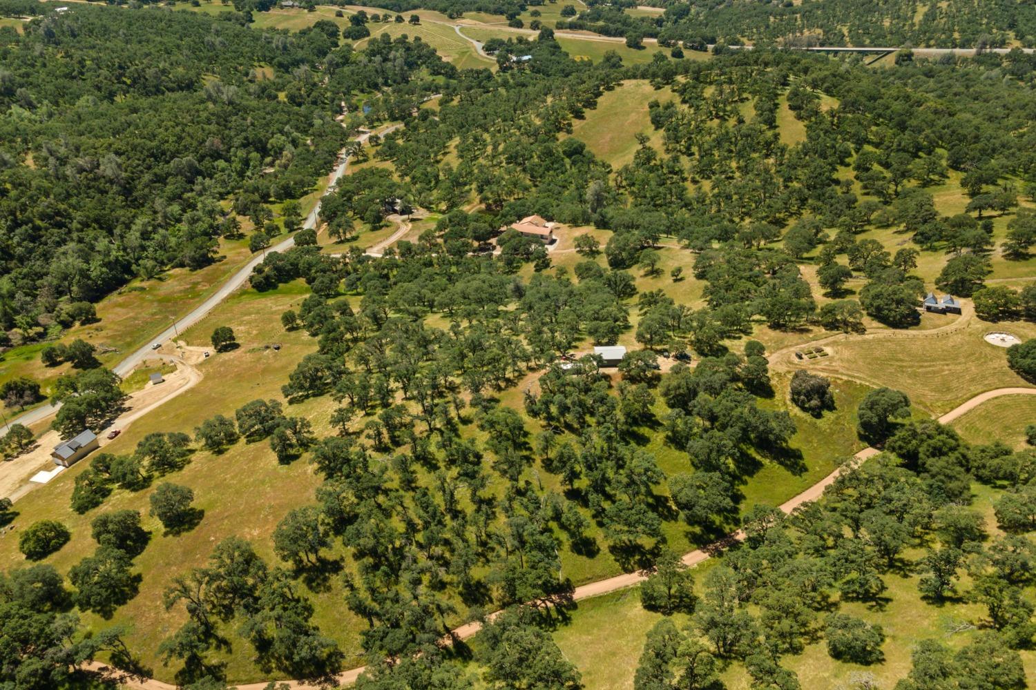 14883 Vaira Ranch Road Drytown, CA 95699 - Photo 53 of 60 a view of a large yard