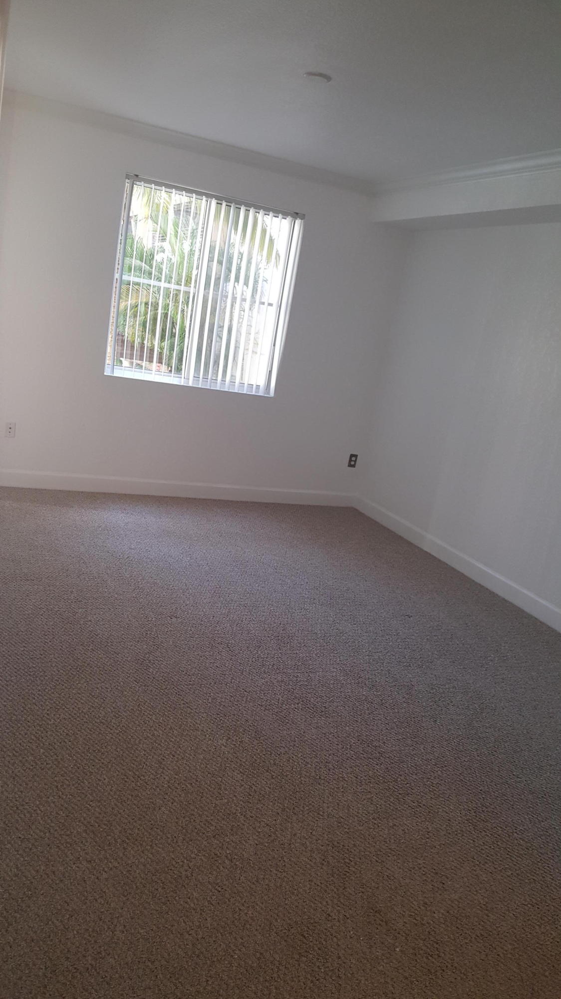 1690 Renaissance Commons Boulevard, Unit 1221 Boynton Beach, FL 33426 - Photo 17 of 22 viz mast bed 2