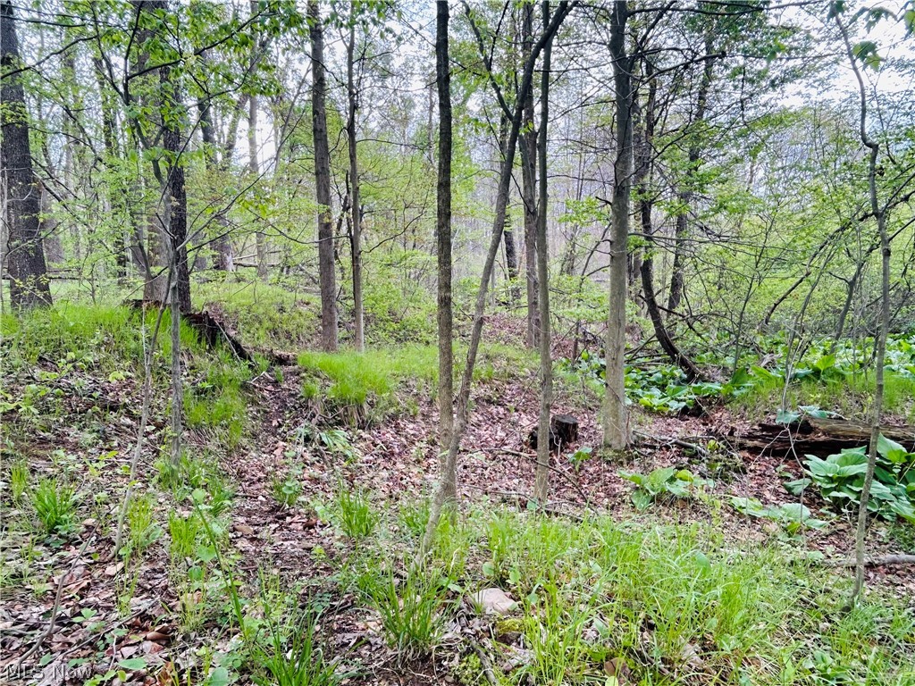 Auburn Road Newbury, OH 44065 - Photo 29 of 35