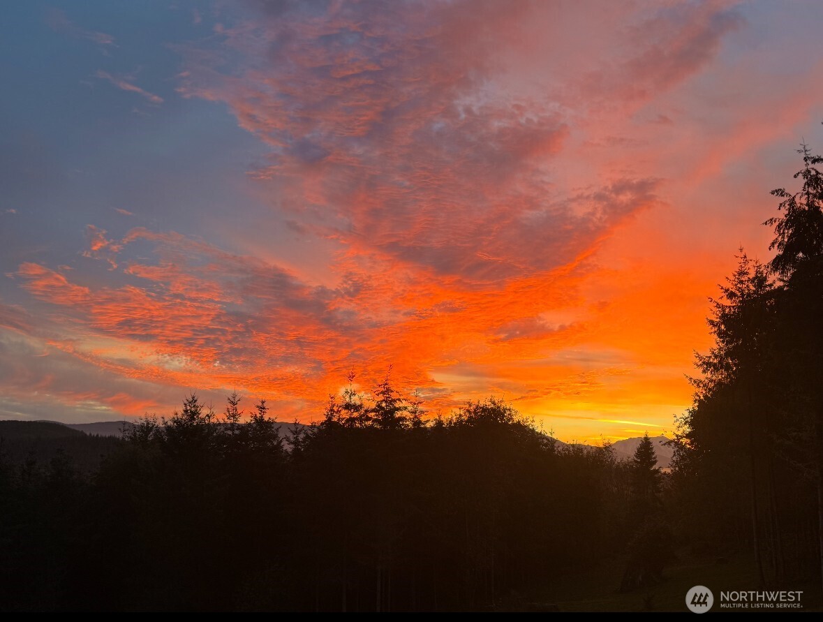 140 Grand Ridge Road Toutle, WA 98649 - Photo 39 of 40