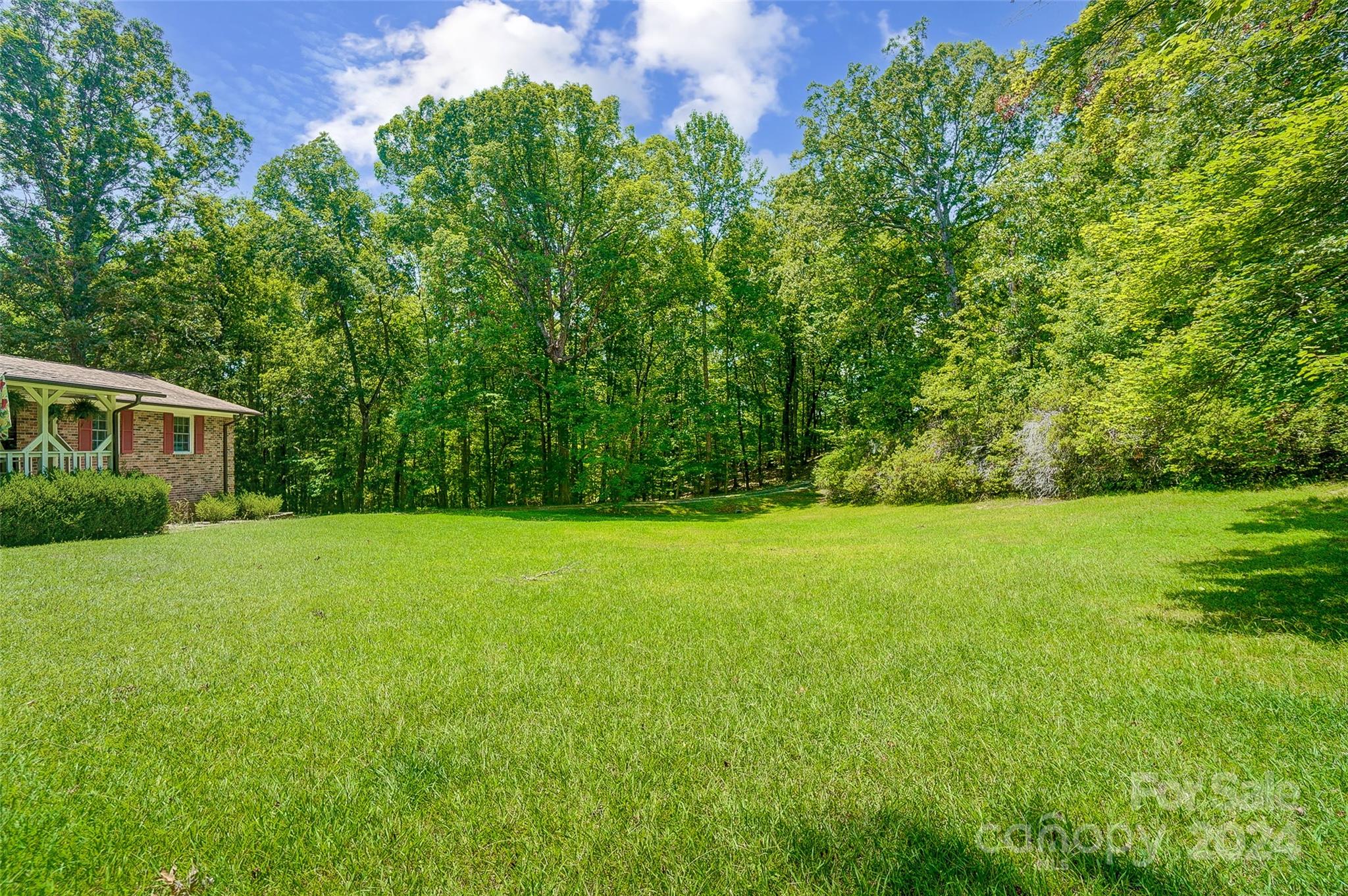 5217 Davis Road Waxhaw, NC 28173 - Photo 4 of 48 Gallery Image 4