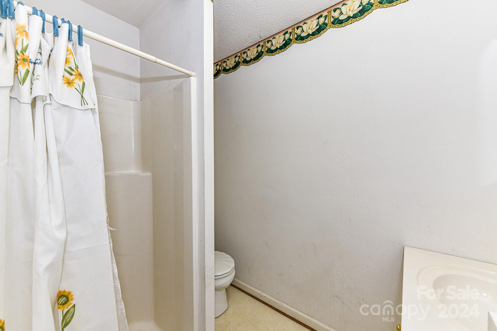 5217 Davis Road Waxhaw, NC 28173 - Photo 45 of 48 Gallery Image 45